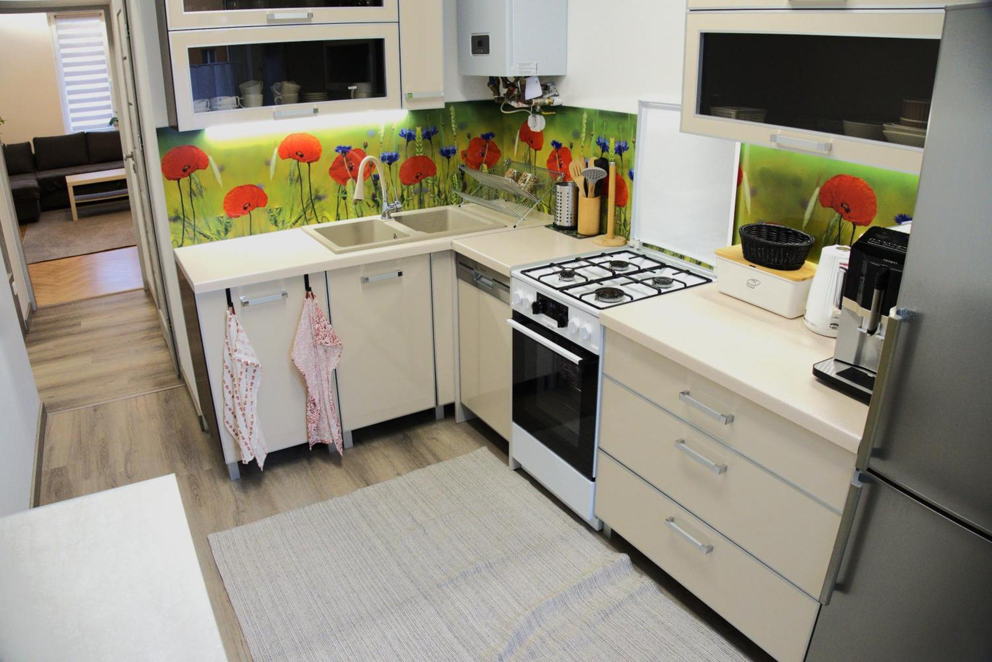 Apartament Centrum Rynek بوليسلافيتش المظهر الخارجي الصورة