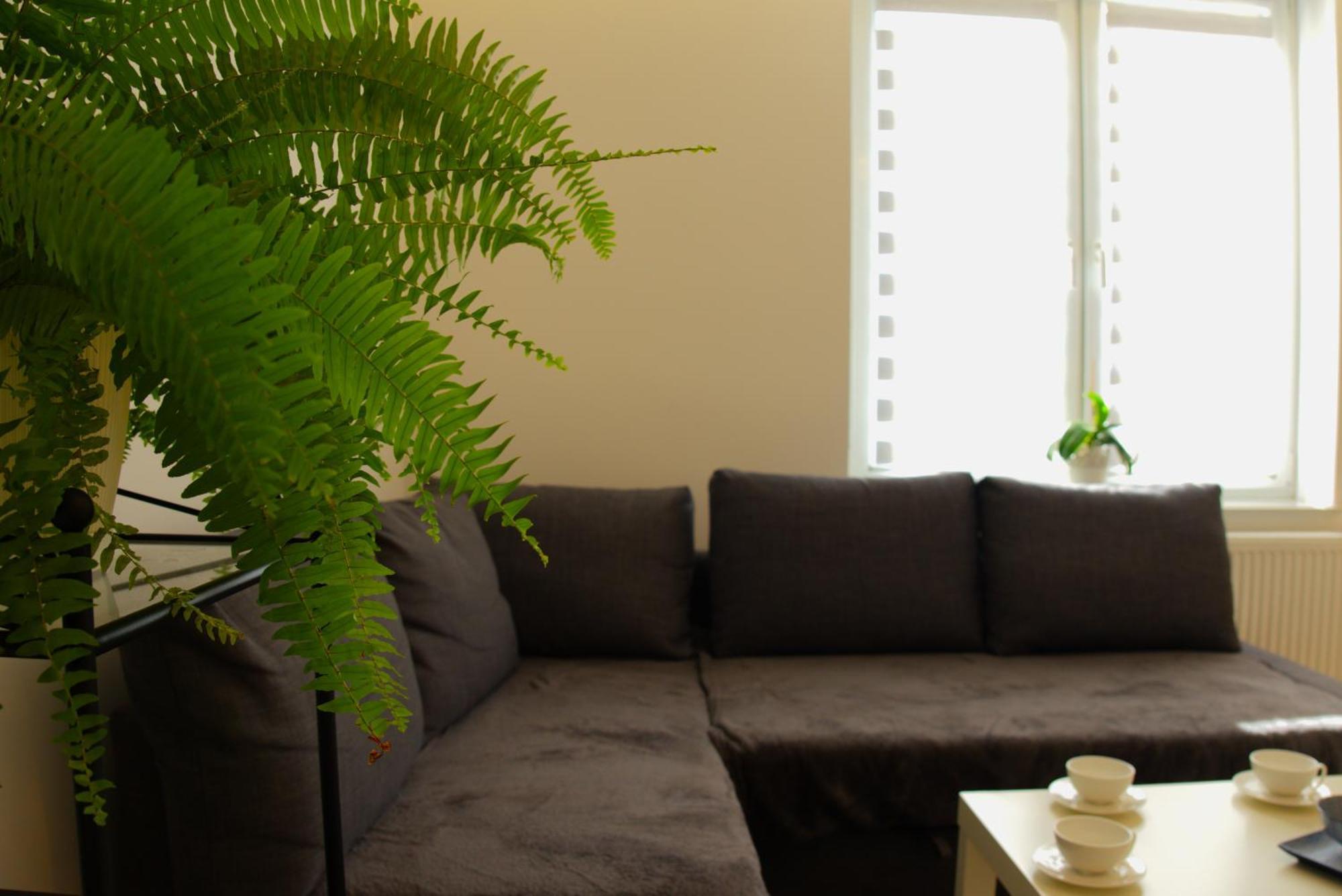 Apartament Centrum Rynek بوليسلافيتش المظهر الخارجي الصورة